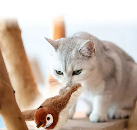 Animated Pet Playmate Toy