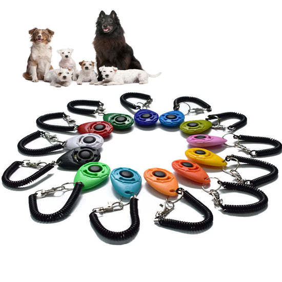 Portable Dog Trainer Clicker with Strap